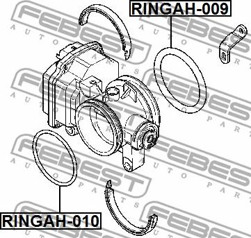 Febest RINGAH-009 -  autocars.com.ua