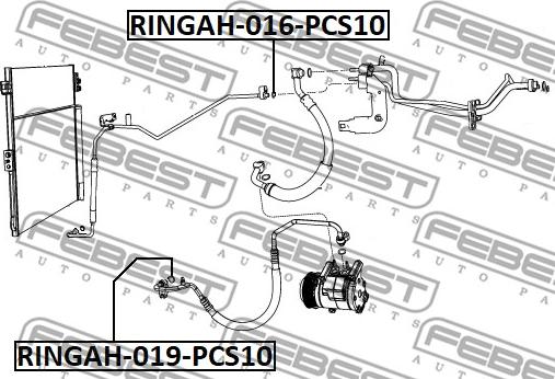 Febest RINGAH-016-PCS10 -  autocars.com.ua