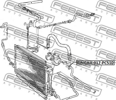 Febest RINGAH-017-PCS10 -  autocars.com.ua