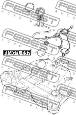 Febest RINGFL-037 - Прокладка, датчик рівня палива autocars.com.ua