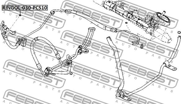 Febest RINGOL-030-PCS10 - Кільце ущільнювача валу, насос гідропідсилювача autocars.com.ua