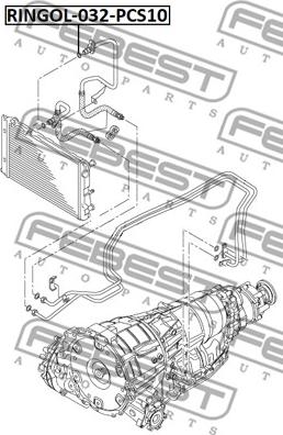 Febest RINGOL-032-PCS10 - Прокладка, масляний радіатор autocars.com.ua