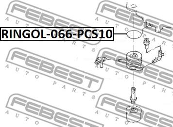Febest RINGOL-066-PCS10 - Прокладка, масляний радіатор autocars.com.ua
