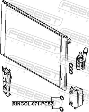Febest RINGOL-071-PCS2 - Прокладка, масляний радіатор autocars.com.ua