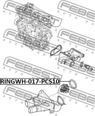 Febest RINGWH-017-PCS10 - Прокладка, фланец охлаждающей жидкости avtokuzovplus.com.ua