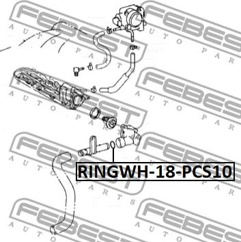 Febest RINGWH-018-PCS10 - Прокладка, фланец охлаждающей жидкости avtokuzovplus.com.ua