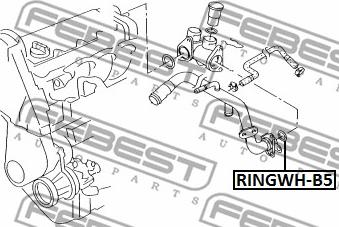 Febest RINGWH-B5 - кільце ущільнююче системи охолодження autocars.com.ua