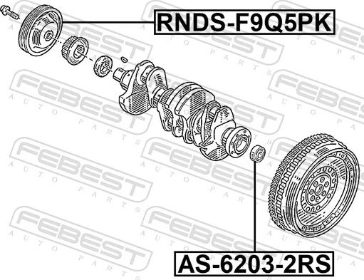 Febest RNDS-F9Q5PK - Шкив коленчатого вала avtokuzovplus.com.ua