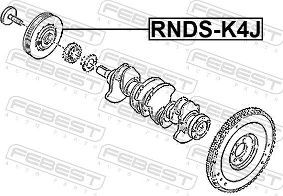 Febest RNDS-K4J - Шкив коленчатого вала autodnr.net