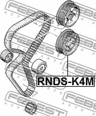 Febest RNDS-K4M - Шестерня приводу розподільного вала autocars.com.ua