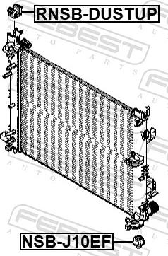 Febest RNSB-DUSTUP - Підвіска, радіатор autocars.com.ua