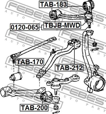 Febest TAB-183 - Сайлентблок, рычаг подвески колеса avtokuzovplus.com.ua