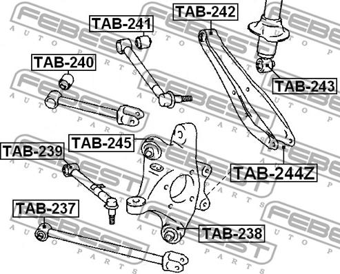 Febest TAB-237 - Сайлентблок, рычаг подвески колеса avtokuzovplus.com.ua