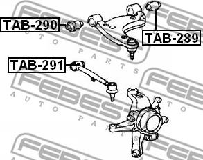 Febest TAB-289 - Сайлентблок, важеля підвіски колеса autocars.com.ua