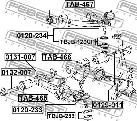 Febest TBJB-233 - Ремонтний комплект, що несуть / напрямні шарніри autocars.com.ua