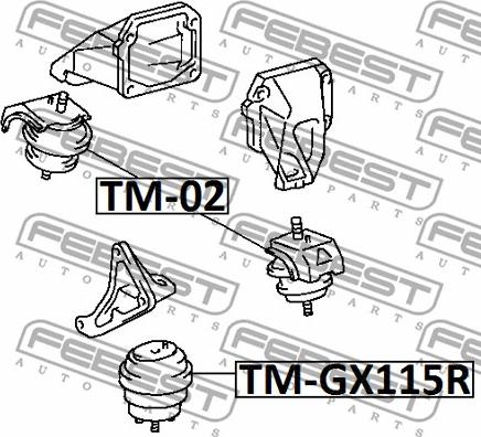 Febest TM-GX115R - Подушка, опора, подвеска двигателя avtokuzovplus.com.ua