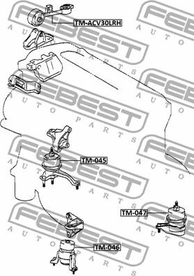 Febest TM-045 - Подушка, підвіска двигуна autocars.com.ua