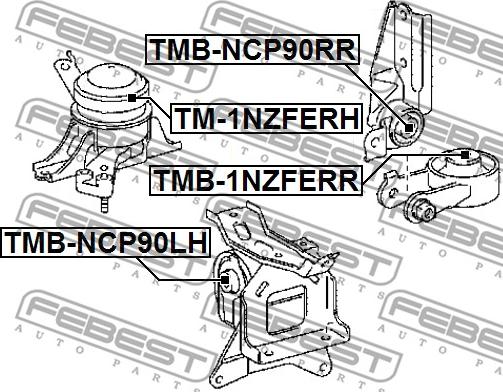 Febest TM-1NZFERH - Подушка, підвіска двигуна autocars.com.ua