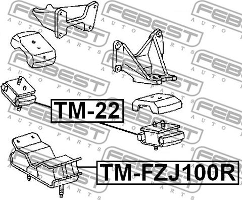 Febest TM-22 - Подушка, підвіска двигуна autocars.com.ua