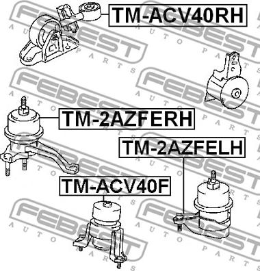 Febest TM-2AZFERH - Подушка, опора, подвеска двигателя avtokuzovplus.com.ua