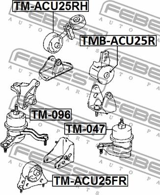 Febest TM-ACU25FR - Подушка, опора, подвеска двигателя avtokuzovplus.com.ua