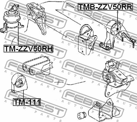 Febest TMB-ZZV50RR - Подушка, підвіска двигуна autocars.com.ua