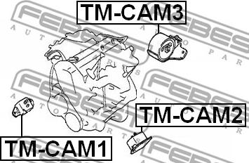 Febest TM-CAM1 - Опора двигуна - КПП autocars.com.ua
