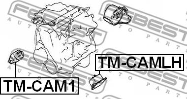 Febest TM-CAMLH - Подушка, підвіска двигуна autocars.com.ua