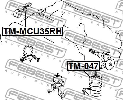 Febest TM-MCU35RH - Подушка, підвіска двигуна autocars.com.ua