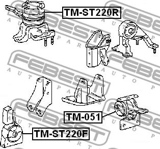 Febest TM-ST220R - Подушка, підвіска двигуна autocars.com.ua