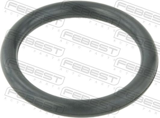 Febest TT-TRAFII - Прокладка, фланець охолоджуючої рідини autocars.com.ua