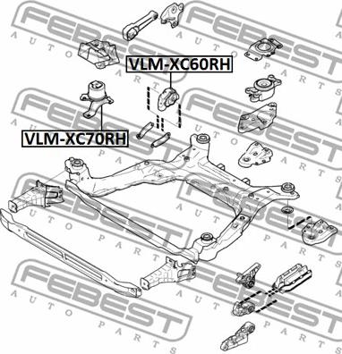 Febest VLM-XC60RH - Подушка, опора, подвеска двигателя avtokuzovplus.com.ua