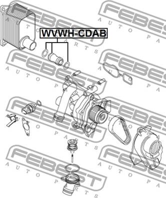 Febest VWWH-CDAB - Шланг радиатора avtokuzovplus.com.ua