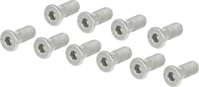 FEBI Bilstein 01893 - Болт, диск гальмівного механізму autocars.com.ua