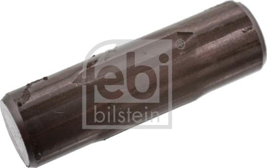 Febi Bilstein 06424 - Подпружіннений стопорний штифт, гальмівна колодка autocars.com.ua