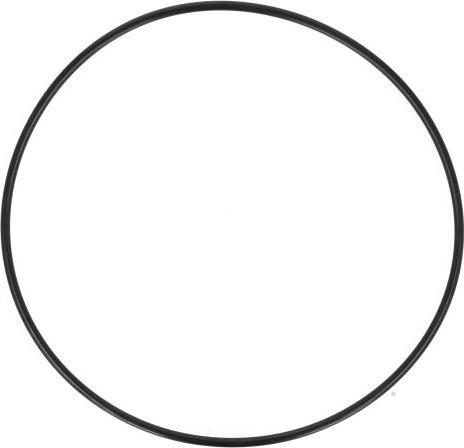 FEBI Bilstein 09923 - Ущільнене кільце, маточина колеса autocars.com.ua