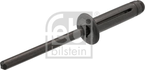 Febi Bilstein 100643 - Заклепка autocars.com.ua