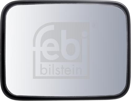 Febi Bilstein 101189 - Широкоугольное зеркало autodnr.net