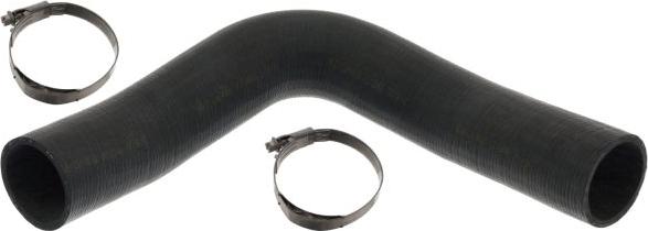 FEBI Bilstein 101251 - Шланг радіатора autocars.com.ua