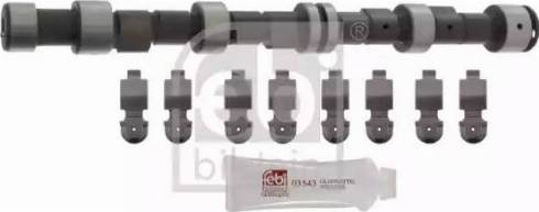 Febi Bilstein 12246 - Комплект распредвала autocars.com.ua