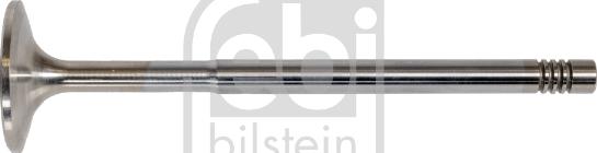 Febi Bilstein 175554 - Впускний клапан autocars.com.ua