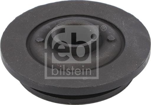 Febi Bilstein 184381 - Подвеска, радиатор avtokuzovplus.com.ua