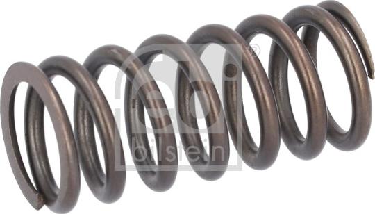 FEBI Bilstein 188166 - Пружина клапана autocars.com.ua