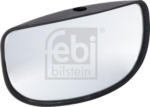 FEBI Bilstein 199794 - Широкий дзеркало autocars.com.ua