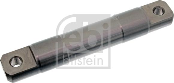 Febi Bilstein 21589 - Болт, возвратной вилки avtokuzovplus.com.ua