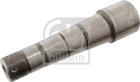 Febi Bilstein 29485 - Болт поворотного кулака autocars.com.ua