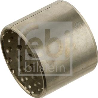 Febi Bilstein 29733 - Втулка, шкворень поворотного кулака avtokuzovplus.com.ua