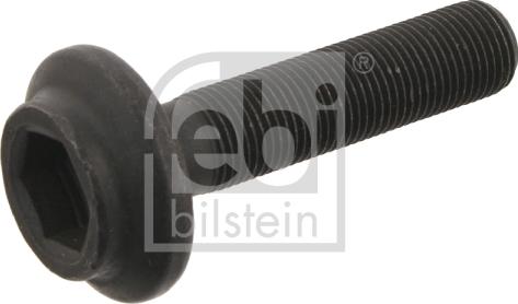 Febi Bilstein 29748 - Болт avtokuzovplus.com.ua