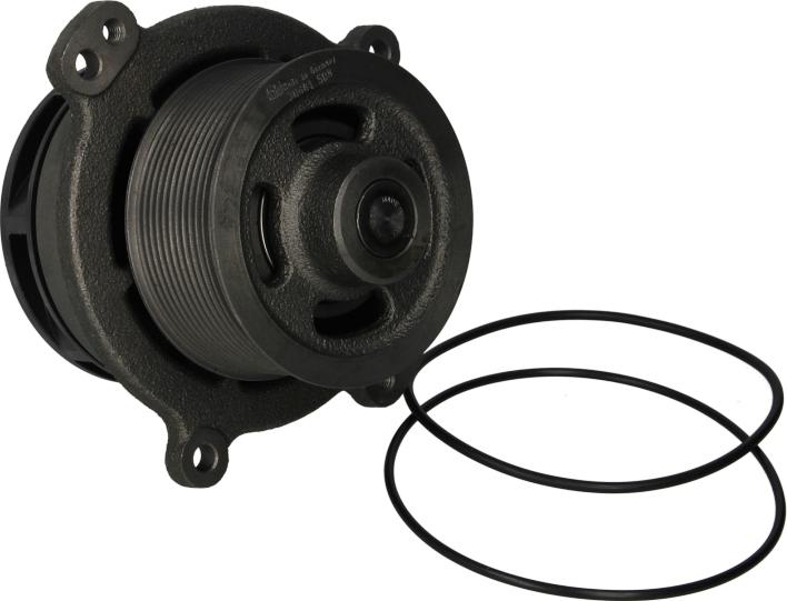 FEBI Bilstein 30681 - Водяний насос autocars.com.ua