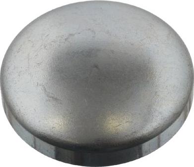 FEBI Bilstein 31794 - Пробка антифризу autocars.com.ua